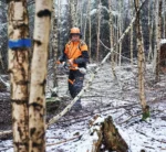 Élagueuse sur perche à batterie HTA 150 – Stihl HTA150 – Perche d’élagage – Machine seule – Système AP – Image 4