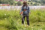 Débroussailleuse thermique FS 240 – Stihl FS240 – 2-MIX – Image 2