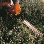 Taille-haies thermique à main HS 45 – Stihl HS45 – longueur 45 cm – Image 2