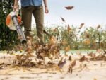 Souffleur à feuilles STIHL BG 56 – moteur thermique 27,2 cm³ – Image 3