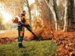 Souffleur à dos STIHL BR 700 – Image 2