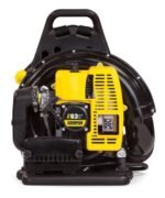 Souffleuse à feuilles à essence Champion Power Equipment 100443, 63 cm3 – Image 3