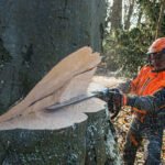 Tronçonneuse thermique STIHL MS 661 C-M W 63cm – Image 6