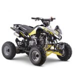 Quad 125cc enfant LBQ Panthera