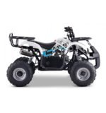 Quad 125cc enfant LBQ Toronto – Image 12