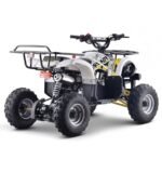 Quad 125cc enfant LBQ Toronto – Image 6