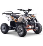 Quad 125cc enfant LBQ Toronto – Image 5