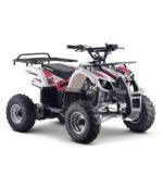 Quad 125cc enfant LBQ Toronto – Image 16