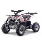 Quad 125cc enfant LBQ Toronto