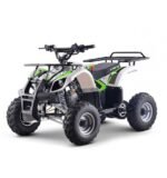 Quad 125cc enfant LBQ Toronto – Image 10