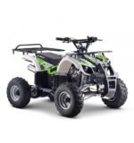 Quad 125cc enfant LBQ Toronto – Image 9
