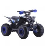 Quad enfant 125cc PROBIKE