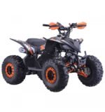 Quad enfant 125cc PROBIKE – Image 9