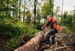Tronçonneuse thermique STIHL MS 362 C-M VW – Image 3