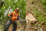 Tronçonneuse thermique STIHL MS 881 – Image 6