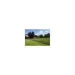 Tondeuse Grin Mulching HM46A 675EXI – Image 2